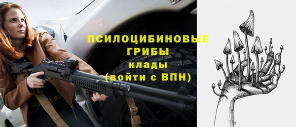 ECSTASY Ладушкин