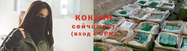 ECSTASY Ладушкин