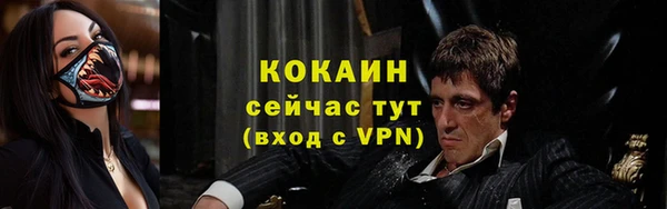 ECSTASY Ладушкин