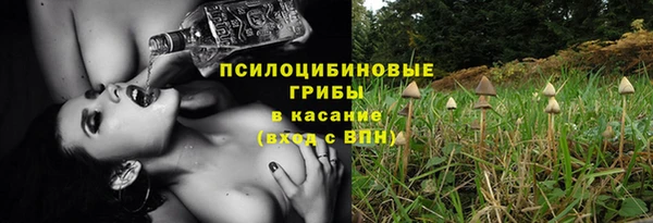 ECSTASY Ладушкин