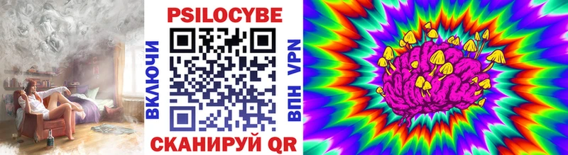 Купить  Заозёрск  Псилоцибиновые грибы мицелий 